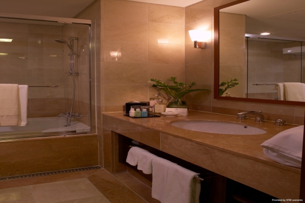 Hotel Somerset Palace Seoul